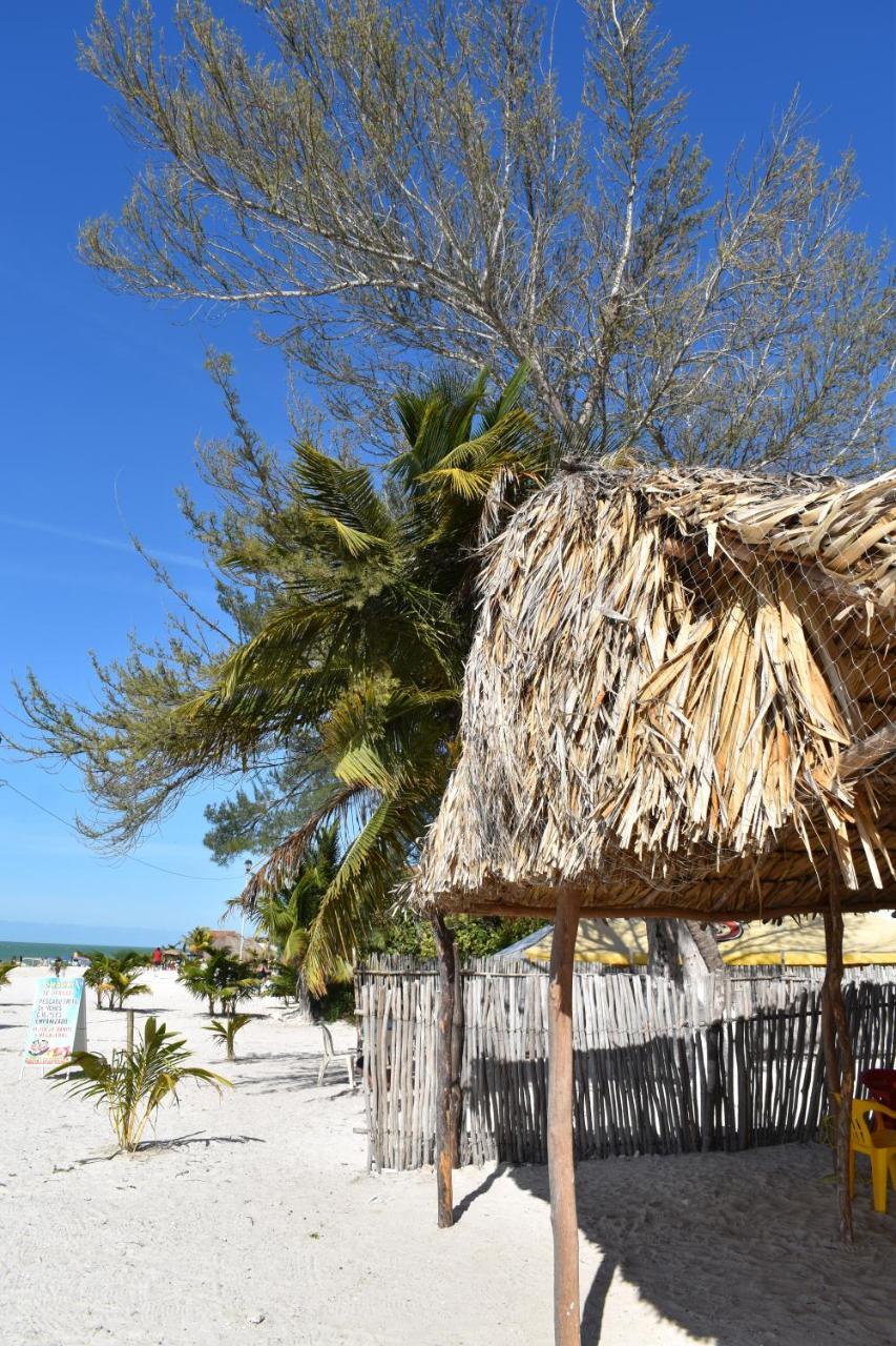 Posada Maria Isabel Celestun Luaran gambar